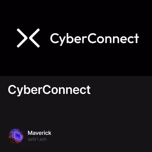 CyberConnect 29/500