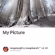 My Picture - TkySlUWkJr