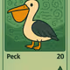 Pelican