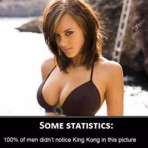 Earn points & collect Memes