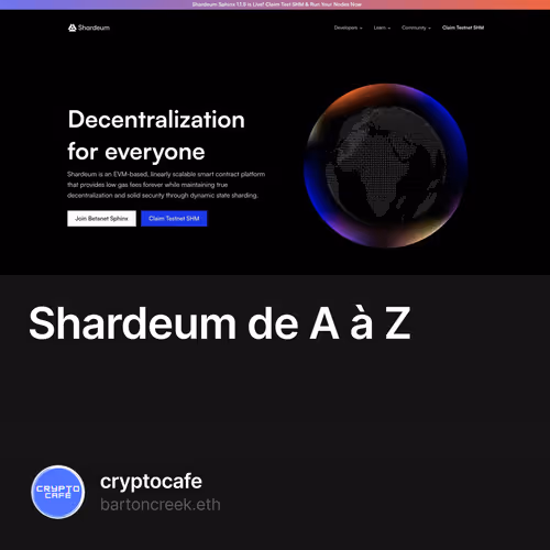 Shardeum de A à Z 1/500