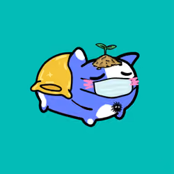 PillowCats #333
