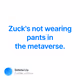 Zucks not wearing pants in the metaverse.