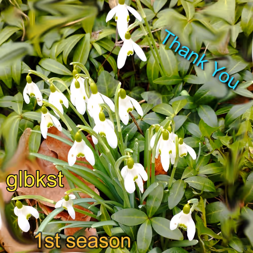 1st season #19/36