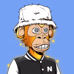 566