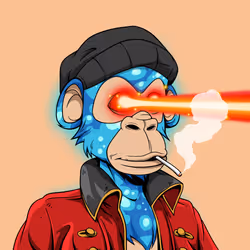 537