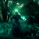 Druid