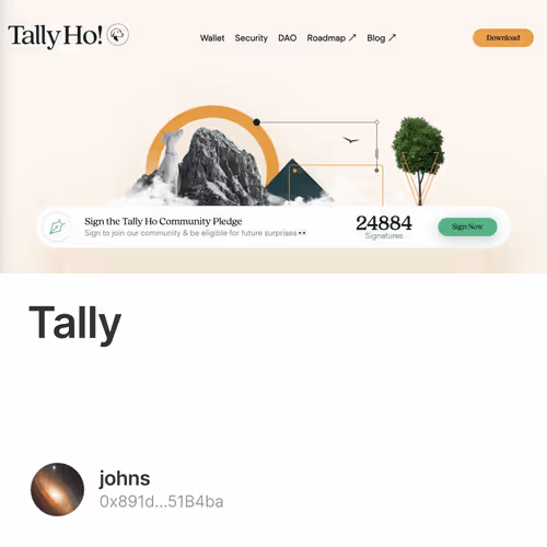 Tally教程 1/500