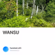 WANSU