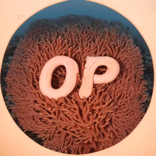 Coral Optimism