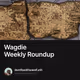 Wagdie Weekly Roundup