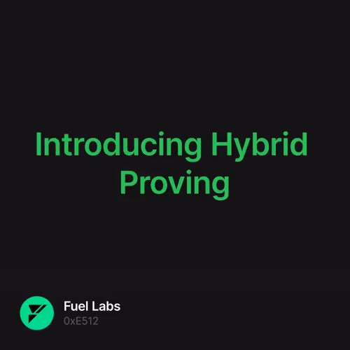 Introducing Hybrid Proving 31