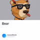 Bear - yoIP7Yx5P7