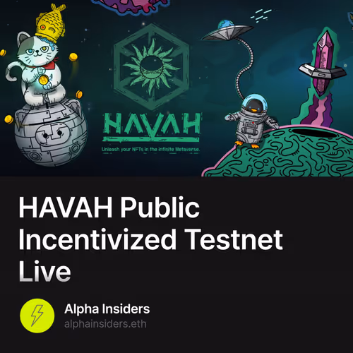 HAVAH Public Incentivized Testnet Live 45/500