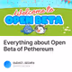 Everything about Open Beta of Pethereum