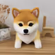 Mini Doge Shiba