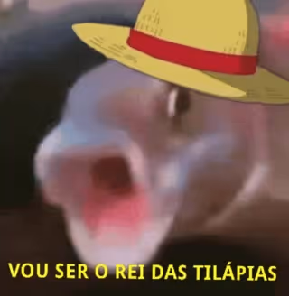 REI DAS TILAPIAS DANE-SE