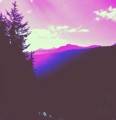 Stuart's Optimistic Editions