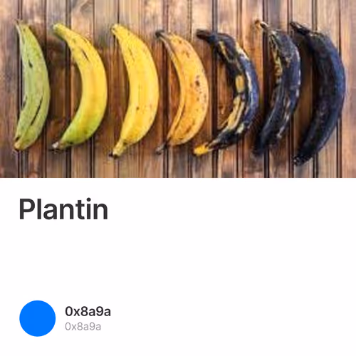 Plantin  1/500