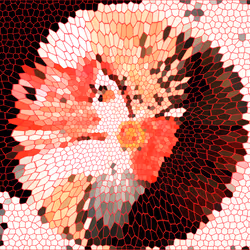 971