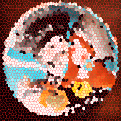 6