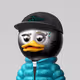 ugly duck