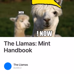 The Llamas: Mint Handbook 201/500