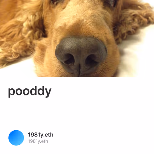 pooddy