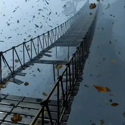bridge #1496