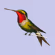 Hummingbird Collection