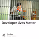 Developer Lives Matter