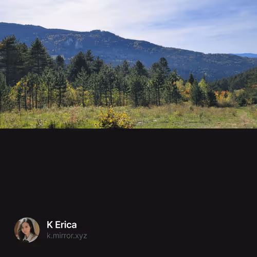 0xb6ffb8038a5e5aa60df1a63041033f90d83fba0d