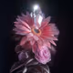 Remint of 0xb932a70a57673d89f4acffbe830e8ed7f75fb9e0 Token ID 18159
