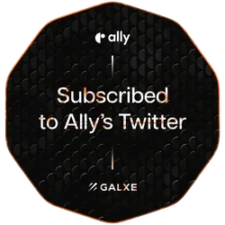 Ally's Twitter Follower