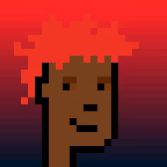 Optipunk #495