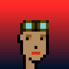Optipunk #8906