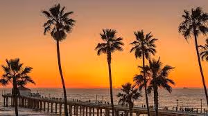 LA