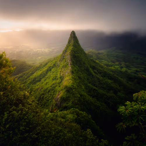 Remint of 0x19981566e4c709ebaba4d99a35a26c18a03a774e Token ID 25