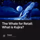 The Whale for Retail What is Kujira
