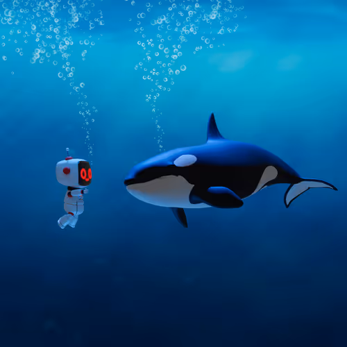 OP Orca #517