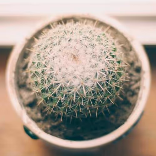 Capitol Gerald Seating