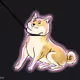 Optimistic Shiba Pulls