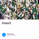 insect - C3klAc0rTZ