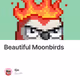 Beautiful Moonbirds