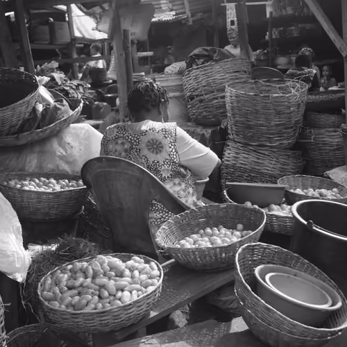 Whispers of the Market