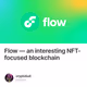 Flow — an interesting NFT-focused blockchain