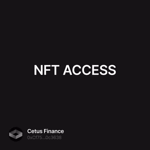 NFT ACCESS 1/500