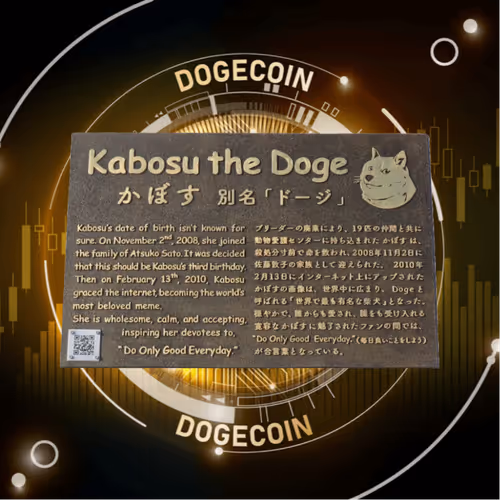 Kabosu The Doge from Japan