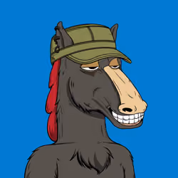 Horse Kingdom #4828