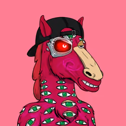Horse Kingdom #9078